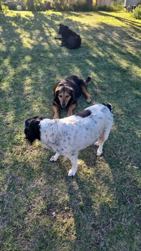 Lote 570 m² con Casa + Departamento - Villa de la Quebrada